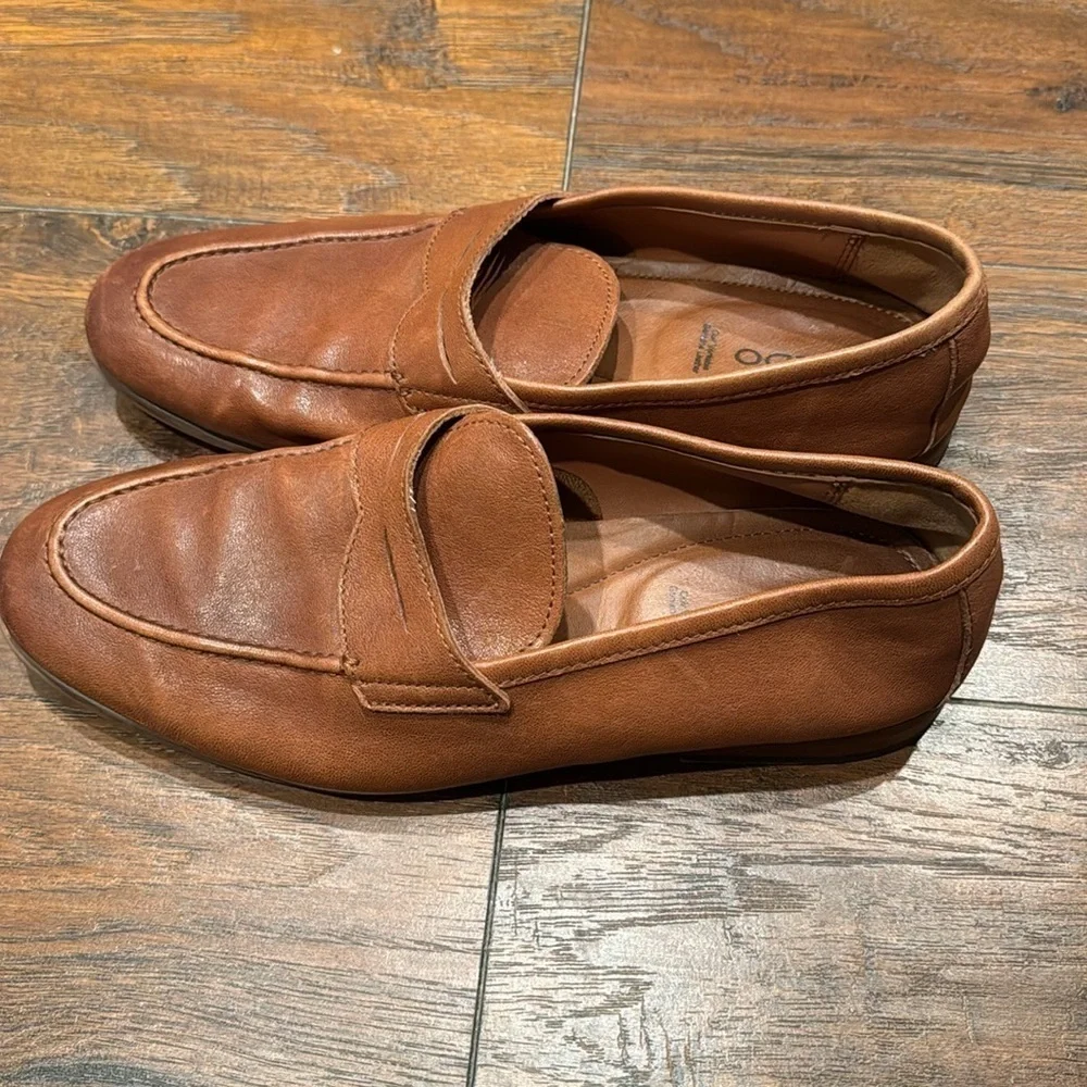 Aldo perk up